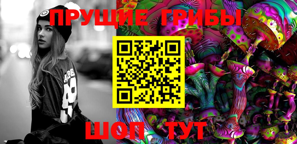 Светлоград  купить наркотик  Галлюциногенные грибы GOLDEN TEACHER  Вход с VPN  Псилоцибиновые грибы Magic Shrooms 