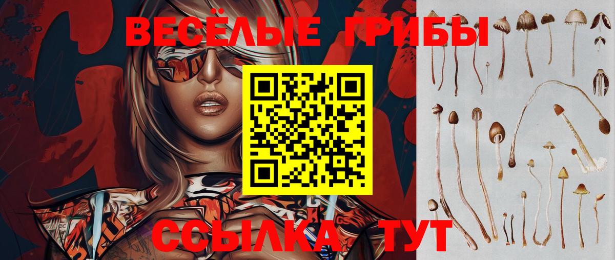 Галлюциногенные грибы Cubensis Светлоград
